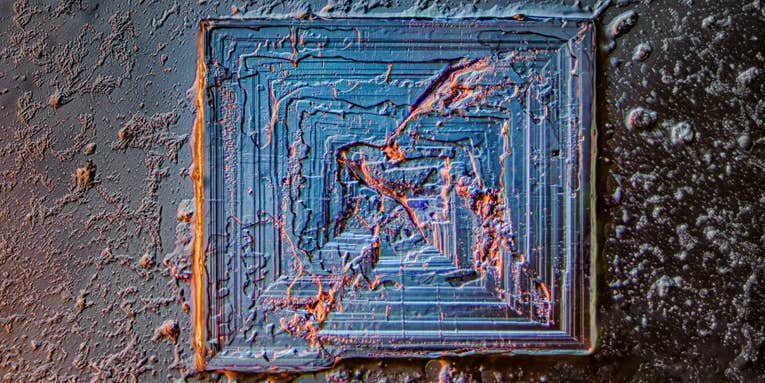 15 mesmerizing photos of the microscopic world 15 mesmerizing photos of the microscopic world