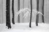 A landscape photo by Heiner Machalet