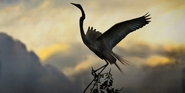 Your best Shots Gallery: June 2012 Your best Shots Gallery: June 2012