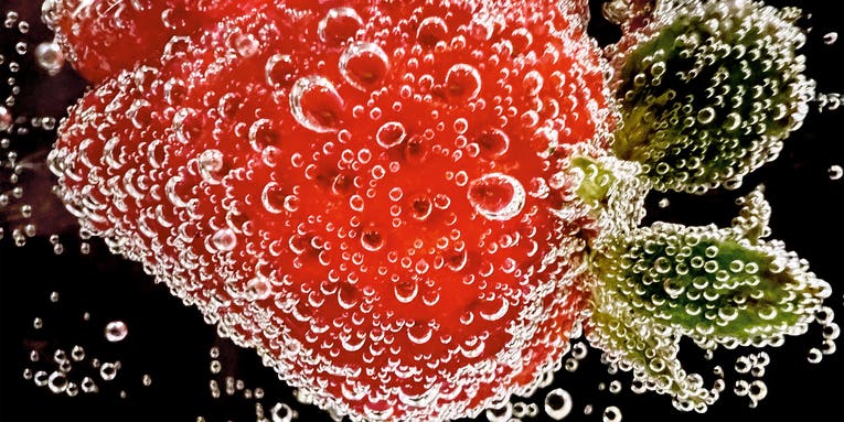 The year’s best iPhone macro photos The year’s best iPhone macro photos