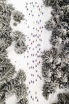 drone photo awards Bieg Piastów cross country skiing