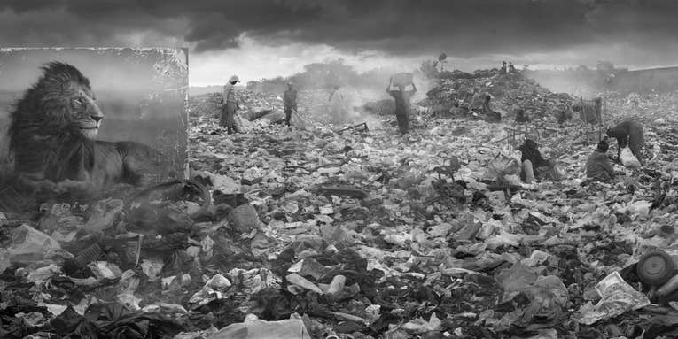 Nick Brandt’s panoramas put the clash between wildlife and urbanity in stark relief Nick Brandt’s panoramas put the clash between wildlife and urbanity in stark relief