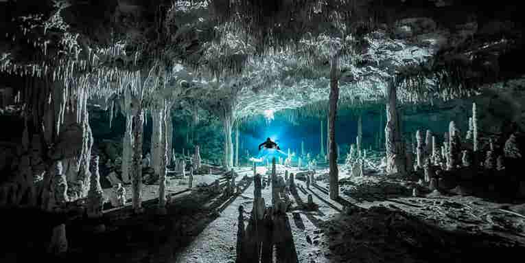 Dive into this gallery of the year’s best ocean photography Dive into this gallery of the year’s best ocean photography