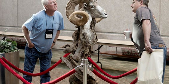 Inside the World Taxidermy Championship: The Spectacle Behind the Scenes Inside the World Taxidermy Championship: The Spectacle Behind the Scenes