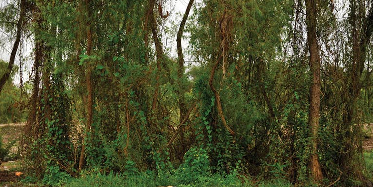 Mexico’s Morbid Landscapes Mexico’s Morbid Landscapes