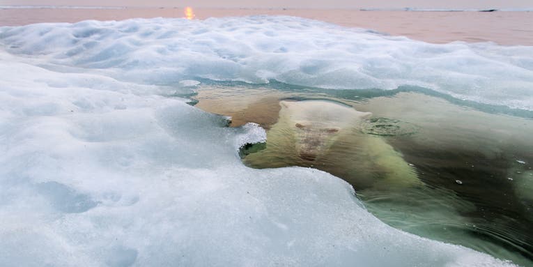 National Geographic Announces 2013 Photography Contest Winners National Geographic Announces 2013 Photography Contest Winners