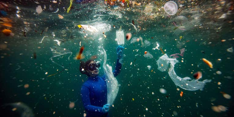 From humorous to heart-breaking, these are the best nature photos of 2021 From humorous to heart-breaking, these are the best nature photos of 2021