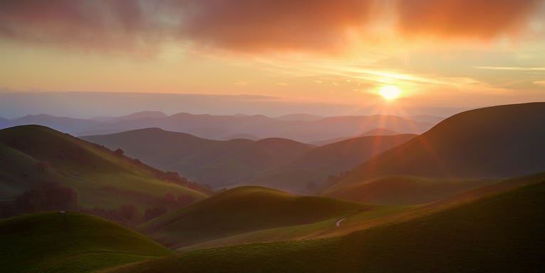Wispy whiskers, a stunning light show, and our other favorite Photos of the Day Wispy whiskers, a stunning light show, and our other favorite Photos of the Day