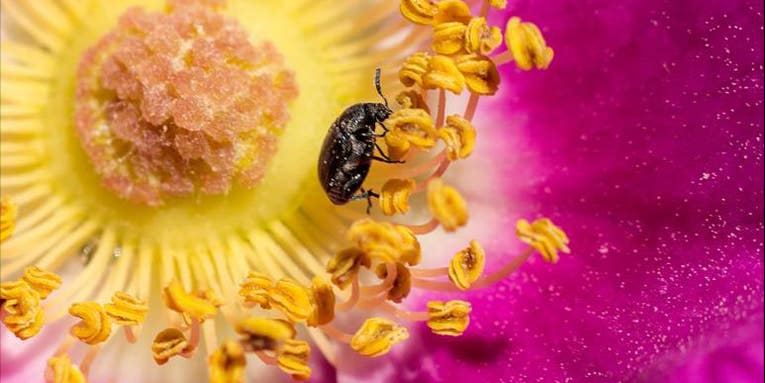 #ItsAmazingOutThere Photo Contest #ItsAmazingOutThere Photo Contest