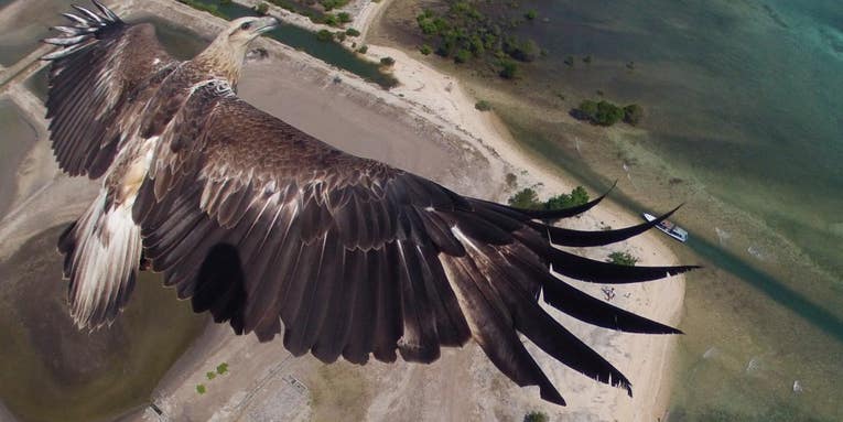 The Winners Of Dronestagram’s First Drone Photo Contest Are Impressive The Winners Of Dronestagram’s First Drone Photo Contest Are Impressive