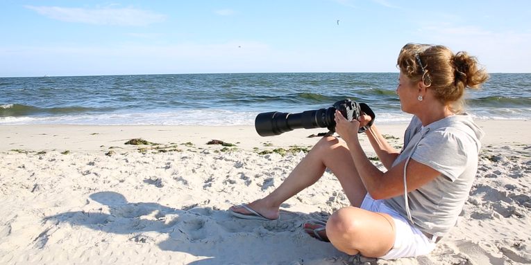 I, Photographer: Lisa Franceski’s Shore Birds I, Photographer: Lisa Franceski’s Shore Birds