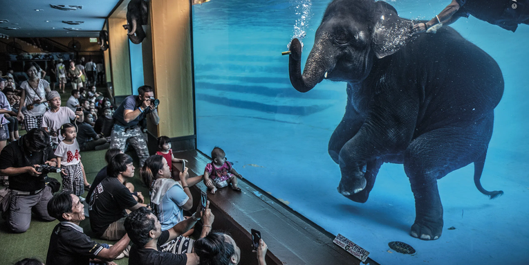 The best wildlife photography of 2021 The best wildlife photography of 2021